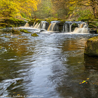 Buy canvas prints of Yorkshire Bridge Waterfall in Autumn by Chris Drabble