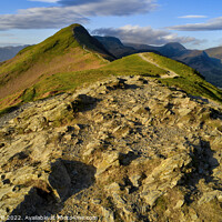 Buy canvas prints of Catbells from Skelgill Bank in early light by Chris Drabble