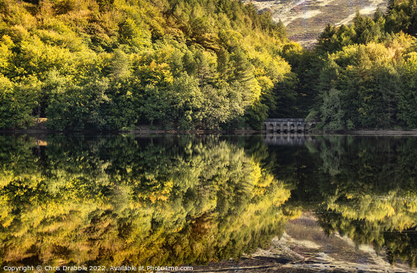 Derwent Reservior in Autumn Picture Board by Chris Drabble