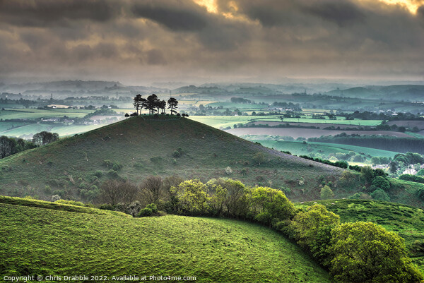 Colmers Hill at sunrise Picture Board by Chris Drabble