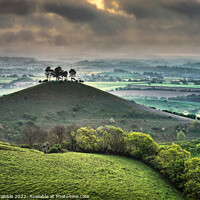 Buy canvas prints of Colmers Hill at sunrise by Chris Drabble