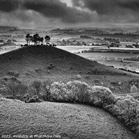 Buy canvas prints of Colmers Hill at sunrise in monochrome by Chris Drabble