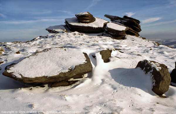 Winter at Fairbrook Naze Picture Board by Chris Drabble