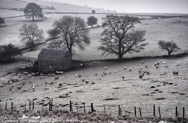 Winter at Wetton Picture Board by Chris Drabble