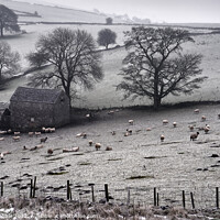 Buy canvas prints of Winter at Wetton by Chris Drabble