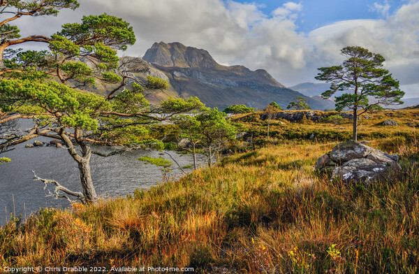 Slioch and Loch Maree in Autumn colour Picture Board by Chris Drabble