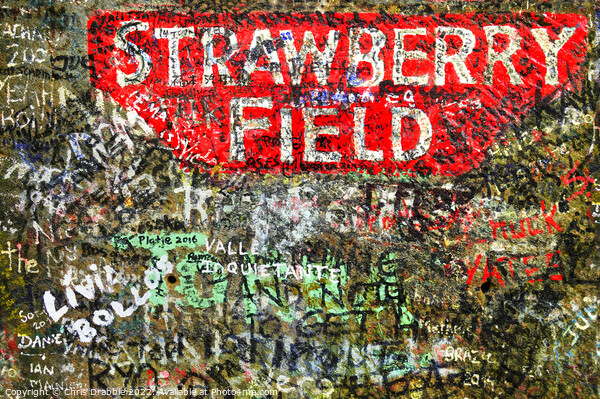 Strawberry Field Picture Board by Chris Drabble