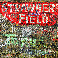 Buy canvas prints of Strawberry Field by Chris Drabble