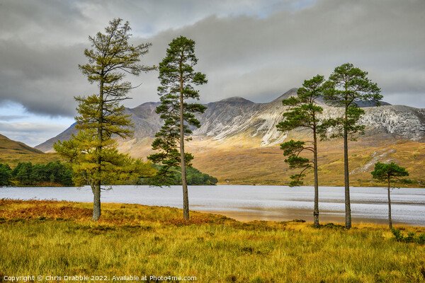 Loch Clair and Ben Eighe in Autumn Picture Board by Chris Drabble