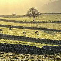 Buy canvas prints of Emerald fields at Wetton  (1) by Chris Drabble