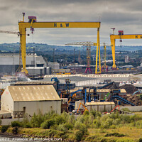 Buy canvas prints of Samson and Goliath, Belfast by Chris Drabble
