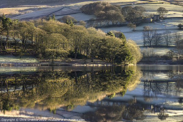 Ladybower Reflections (2) Picture Board by Chris Drabble