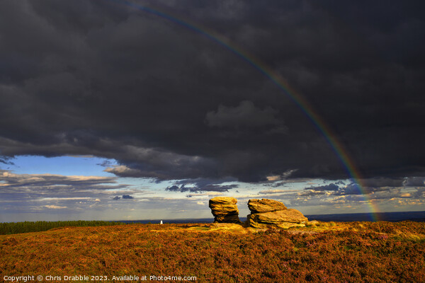 The Ox Stones caught in storm light. Picture Board by Chris Drabble