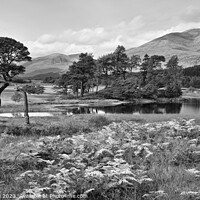 Buy canvas prints of Loch Tulla in early light by Chris Drabble