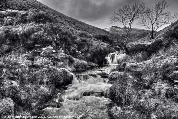 Fair Brook in Monochrome Picture Board by Chris Drabble