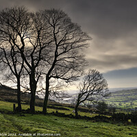 Buy canvas prints of Winter Trees at Roach End by Chris Drabble