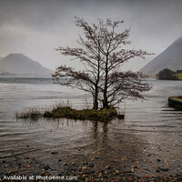 Buy canvas prints of Crummock Water panoramic by Chris Drabble