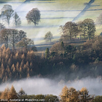 Buy canvas prints of Derwent Valley at first light by Chris Drabble