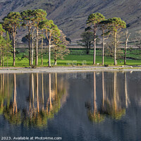 Buy canvas prints of Buttermere Reflections by Chris Drabble
