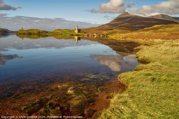 Ardvreck Castle reflected in Loch Assynt Picture Board by Chris Drabble