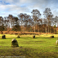 Buy canvas prints of The Nine Ladies Stone Circle by Chris Drabble