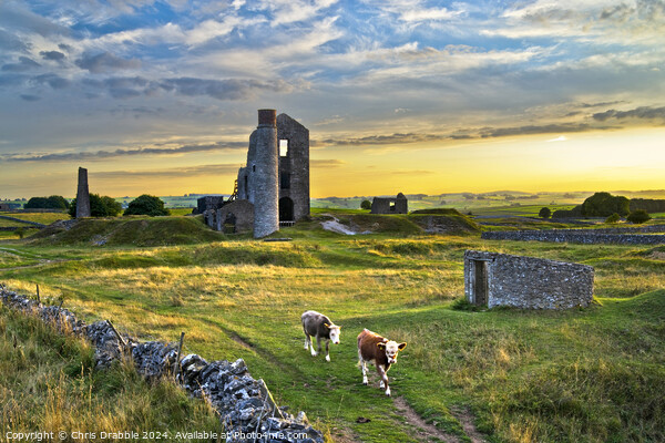 The Magpie Mine at sunset Picture Board by Chris Drabble