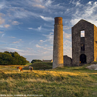 Buy canvas prints of The Magpie Mine by Chris Drabble