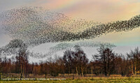 Click to show how this picture will look as a piece of wall art
