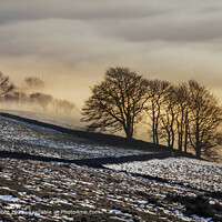 Bamford Mist inversion