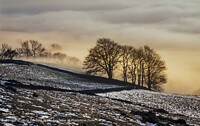 Click to show how this picture will look as a piece of wall art