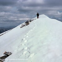 Beinn Eighe footsteps