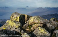 Click to show how this picture will look as a piece of wall art