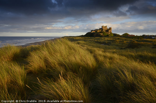 Bamburgh Castle at sunset   Picture Board by Chris Drabble