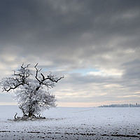 Buy canvas prints of In the grip of a Winters day by Chris Drabble