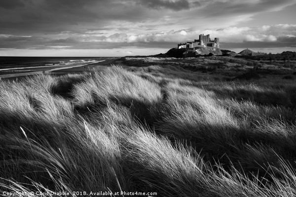 Bamburgh Castle (in Mono) Northumberland, England Picture Board by Chris Drabble