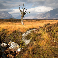 Buy canvas prints of On Rannoch Moor by Chris Drabble