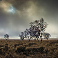 Buy canvas prints of A misty Winter morning on Leash Fen (7) by Chris Drabble