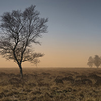 Buy canvas prints of A misty Winter morning on Leash Fen (2) by Chris Drabble