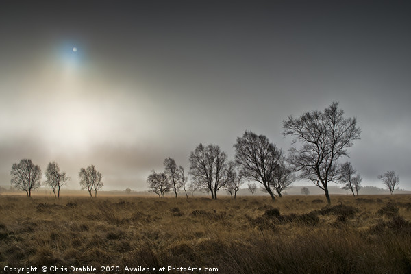 A misty Winter morning on Leash Fen (6) Picture Board by Chris Drabble