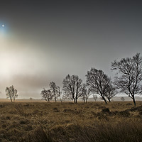 Buy canvas prints of A misty Winter morning on Leash Fen (6) by Chris Drabble