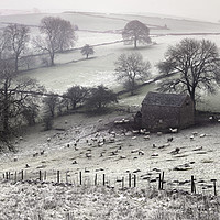 Buy canvas prints of Winter in the White Peak by Chris Drabble
