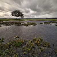 Buy canvas prints of After heavy rain on Middleton Moor by Chris Drabble