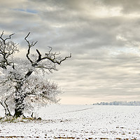 Buy canvas prints of A Winters day by Chris Drabble