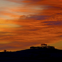 Buy canvas prints of Sunrise and birds at Minninglow  by Chris Drabble