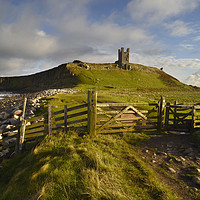 Buy canvas prints of Early light on Dunstanburgh Castle                 by Chris Drabble