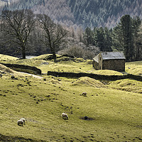 Buy canvas prints of Bell Hagg Barn                                     by Chris Drabble