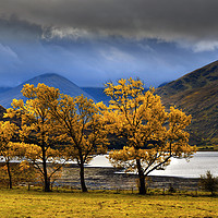 Buy canvas prints of Loch Duich and Inverinate shoreline                by Chris Drabble