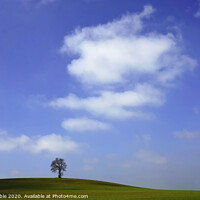 Buy canvas prints of Blue skies over One Tree Hill by Chris Drabble