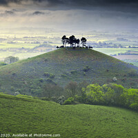 Buy canvas prints of Colmer's Hill on a misty morning by Chris Drabble