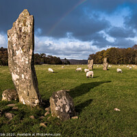 Buy canvas prints of Nether Largie Standing Stones by Chris Drabble